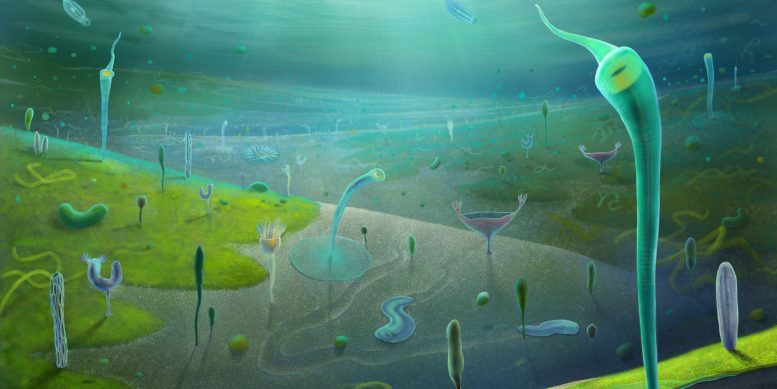 Artist&rsquo;s Impression of Earth&rsquo;s Earliest Complex Animals During the Late Ediacaran Period
