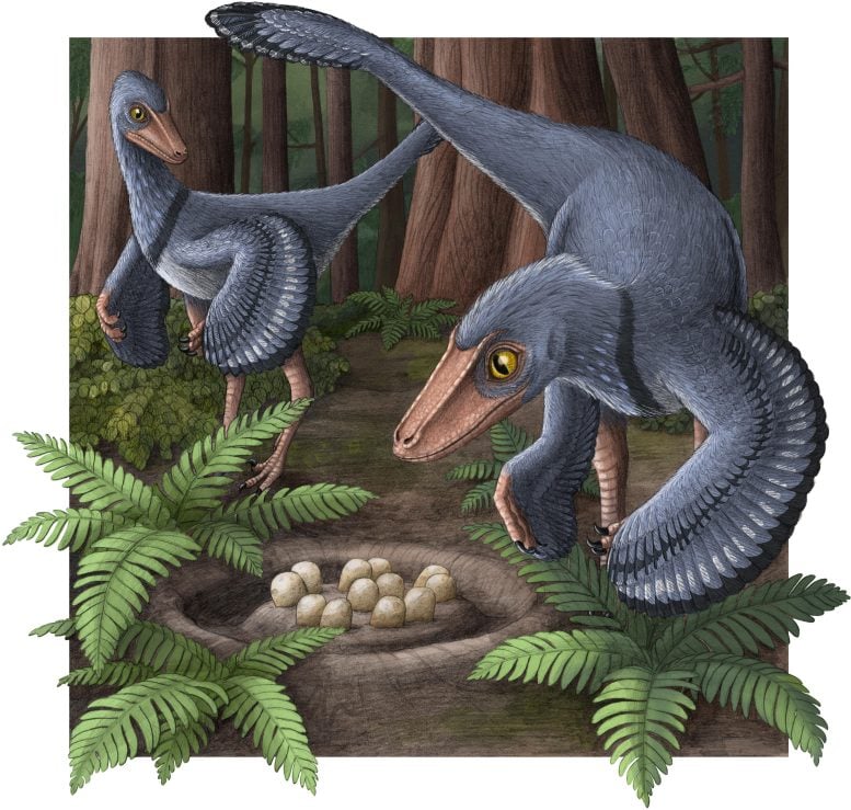 Artist’s Impression of Two Troodons With a Common Nest