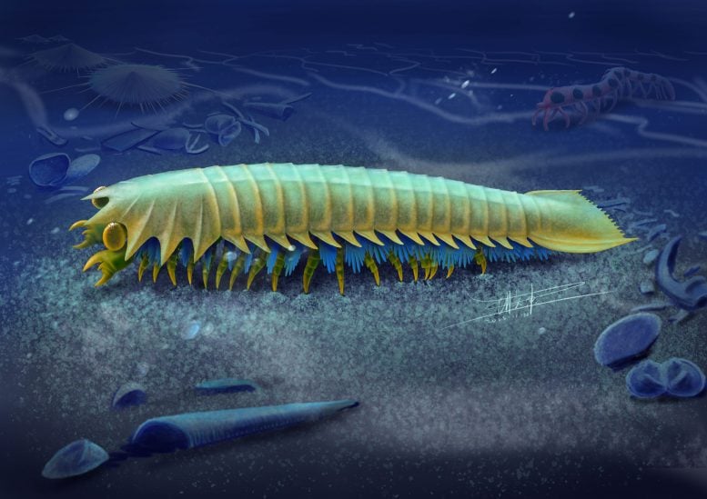 Artist’s Impression of Urokodia