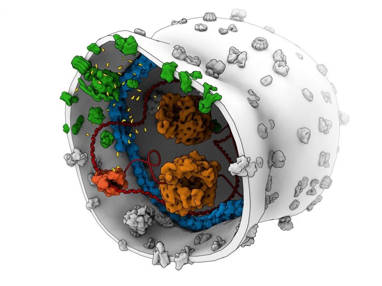 Artist's Impression of a Synthetic Cell