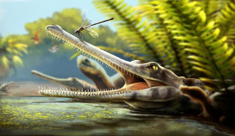 Artist’s Restoration of Ctenosuchus Tenuidens