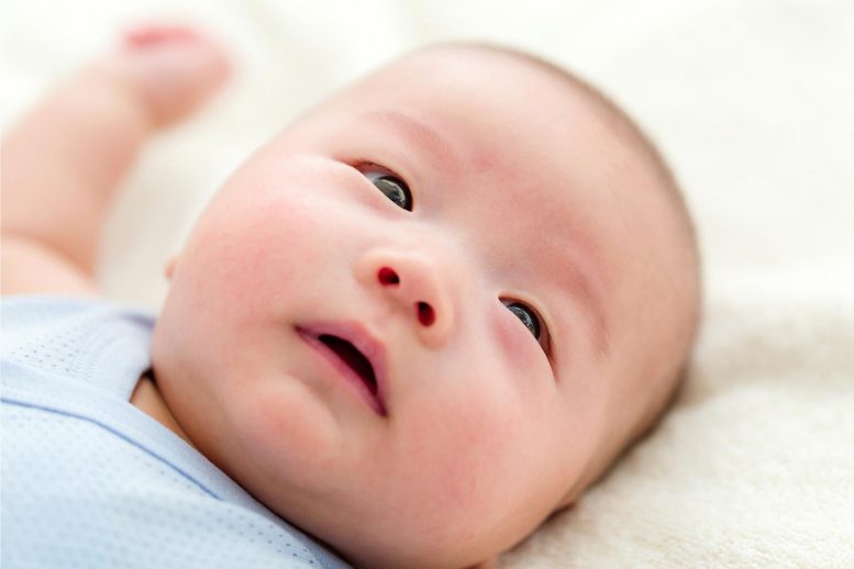 Asian Infant Baby Boy