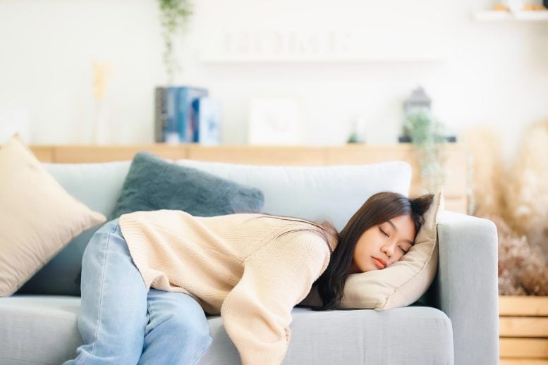 A 45-Minute Nap Can Reset Your Brain for Better Learning