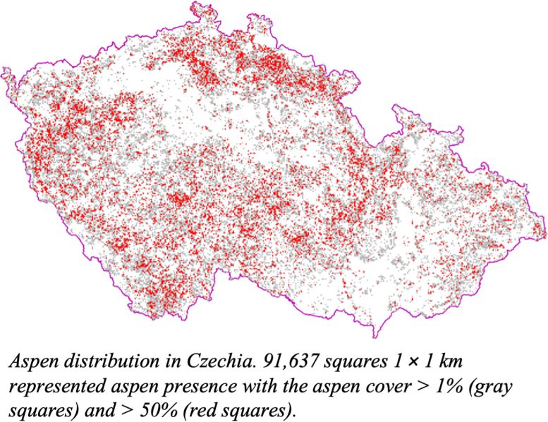 Aspen Distribution in Czechia