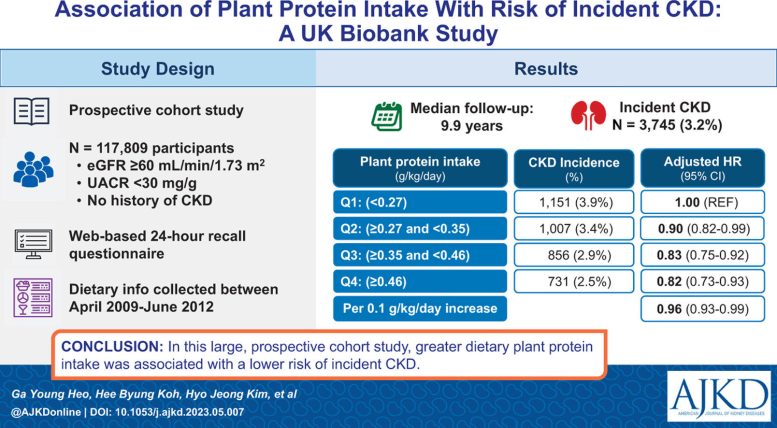 Association of Plant Protein Intake With Risk of Incident CKD Visual Abstract