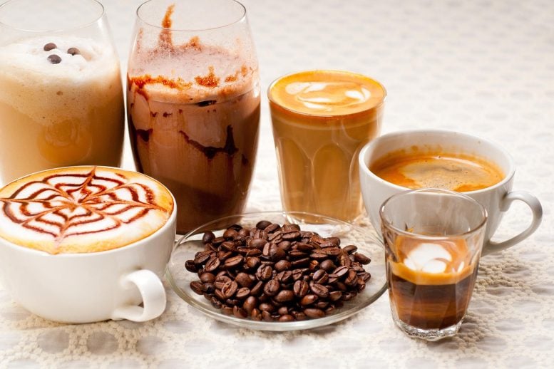 Assorted Types of Coffee Drinks