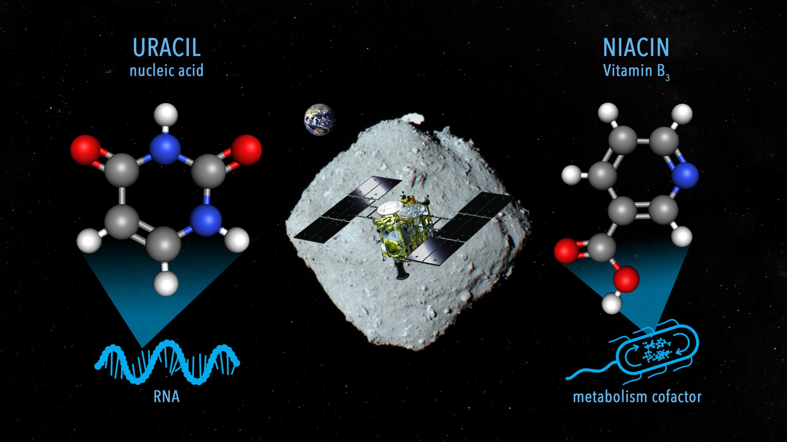 Asteroid Ryugu Rracil and Niacin scaled
