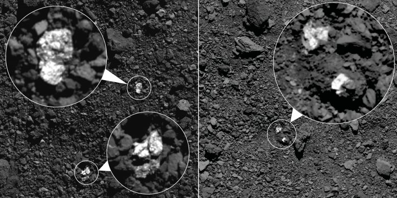 Asteroid Vesta Fragments on Bennu