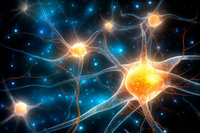 Astrocytes Brain Cells Art