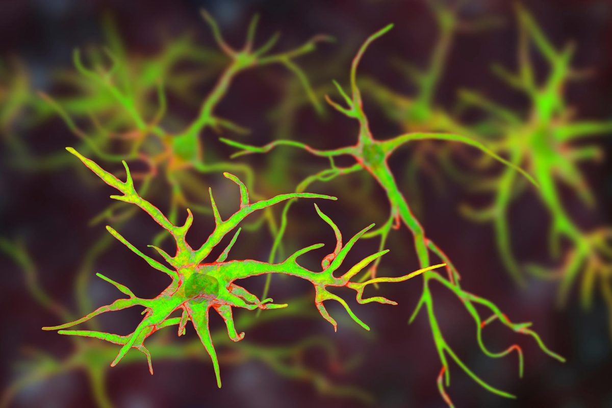 Researchers Discover Boosting a Single Protein Helps the Brain Fight ...