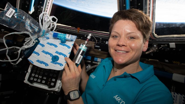 Astronaut Anne McClain in the Cupola