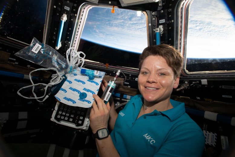Astronaut Anne McClain Marrow Experiment