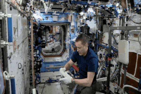 Astronaut Jack Fischer Collects Environmental Sample