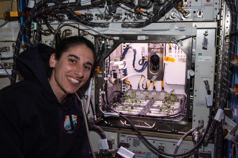 Astronaut Jasmin Moghbeli in Front of Advanced Plant Habitat