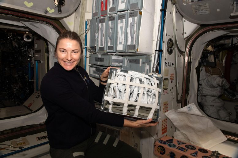Astronaut Kayla Barron Shows Off Food Packets