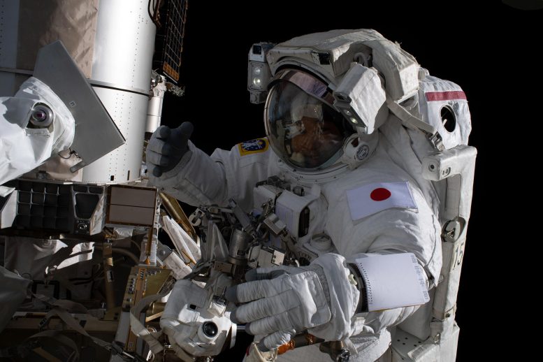 Astronaut Koichi Wakata Spacewalk