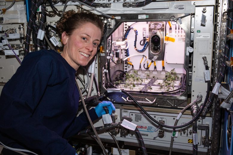 Astronaut Loral O’Hara Advanced Plant Habitat