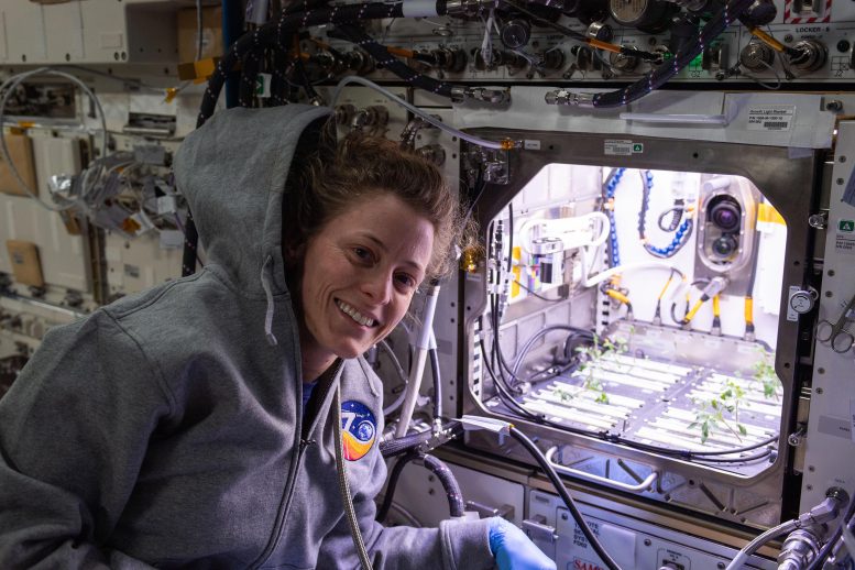 Astronaut Loral O’Hara Poses in Front of Advanced Plant Habitat