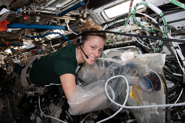 El astronauta Loral O'Hara reemplaza los componentes de la bioimpresora