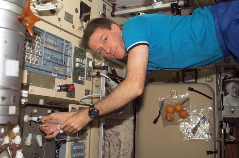 Astronaut Michael Foale