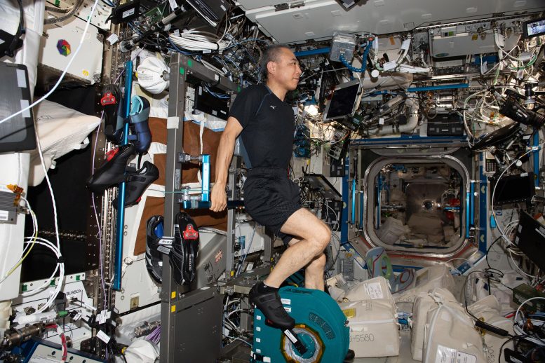Astronaut Satoshi Furukawa Pedals on Exercise Cycle