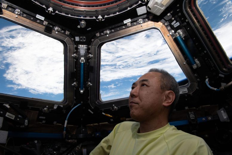 Astronaut Satoshi Furukawa Peers at Earth From Inside Cupola