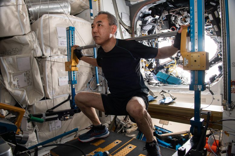 Astronaut Satoshi Furukawa Works Out on ARED