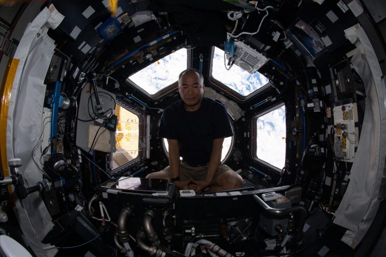 Astronaut Soichi Noguchi