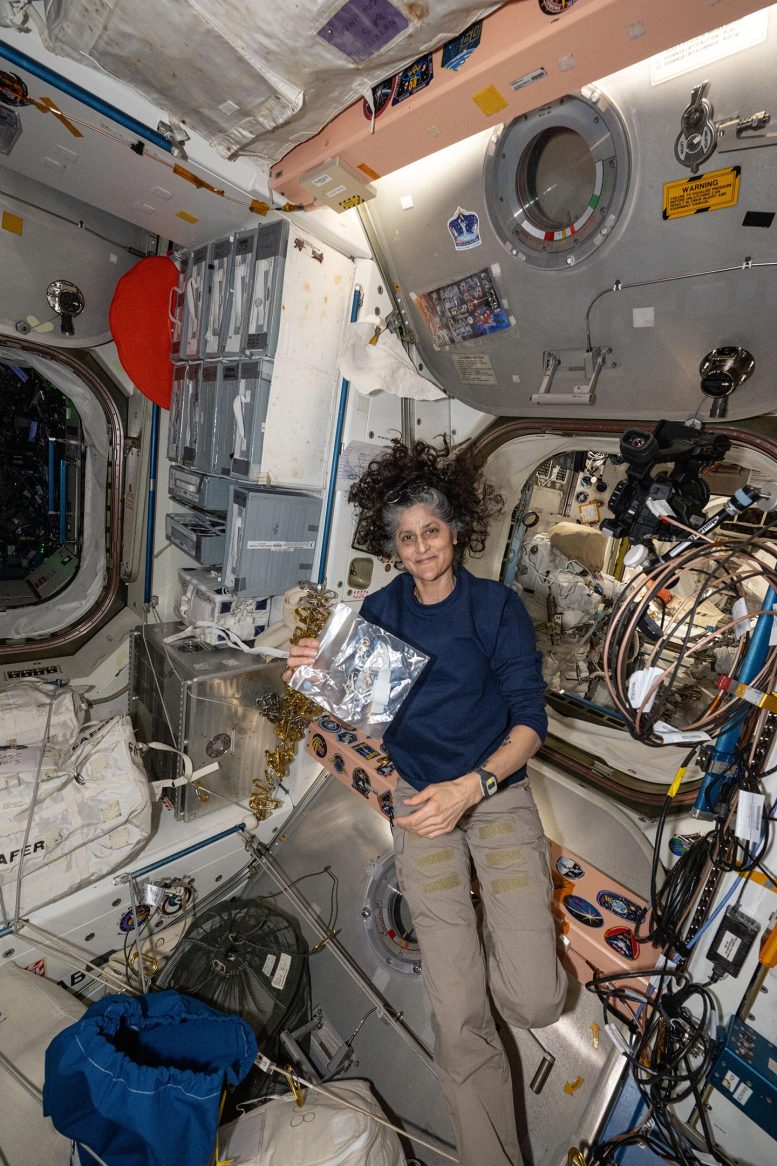 Astronaut Suni Williams During Space Station Maintenance Activities