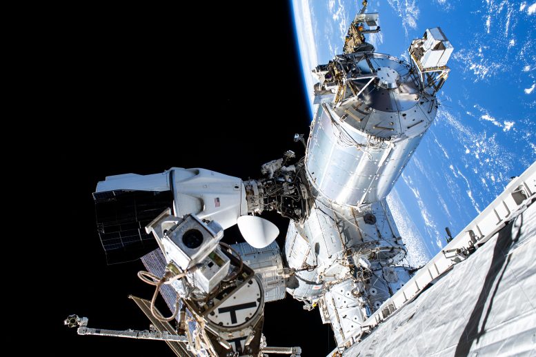 Astronaut Suni Williams Dwarfed Near SpaceX Dragon Crew Spacecraft