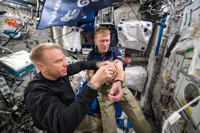 Astronaut Tim Peake’s First Blood Draw Completed in Space