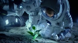 Astronauts Plant Life