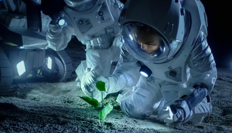 Astronauts Plant Life