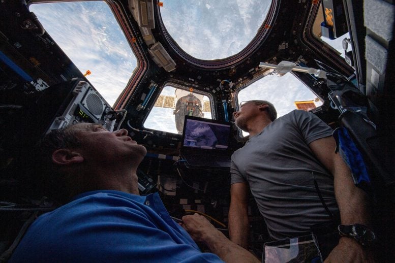 Astronauts Thomas Marshburn and Mark Vande Hei Peer at the Earth Below