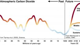Atmospheric Carbon Dioxide Levels