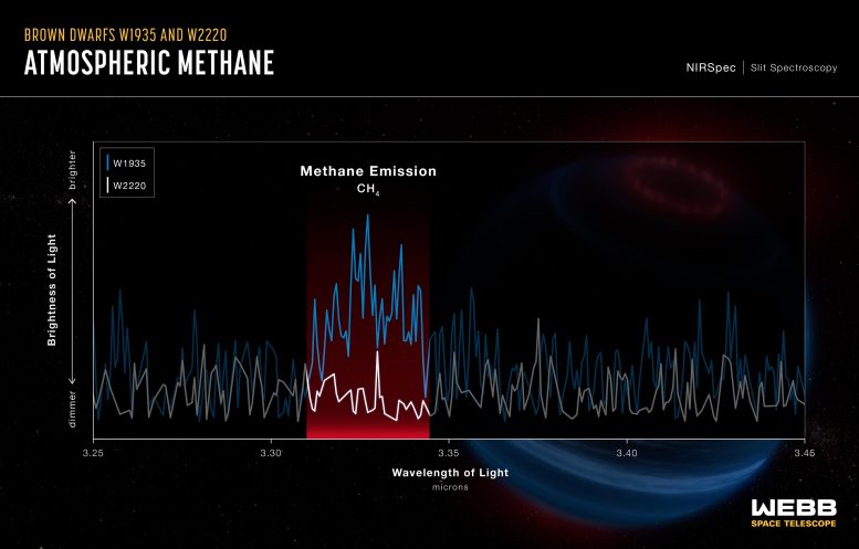 Atmospheric Methane of Brown Dwarfs W1935 and W2220 (Webb NIRSpec)