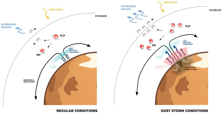 Atmospheric Response to a Localized Dust Storm in the Northern Hemisphere During the Local Summer Season