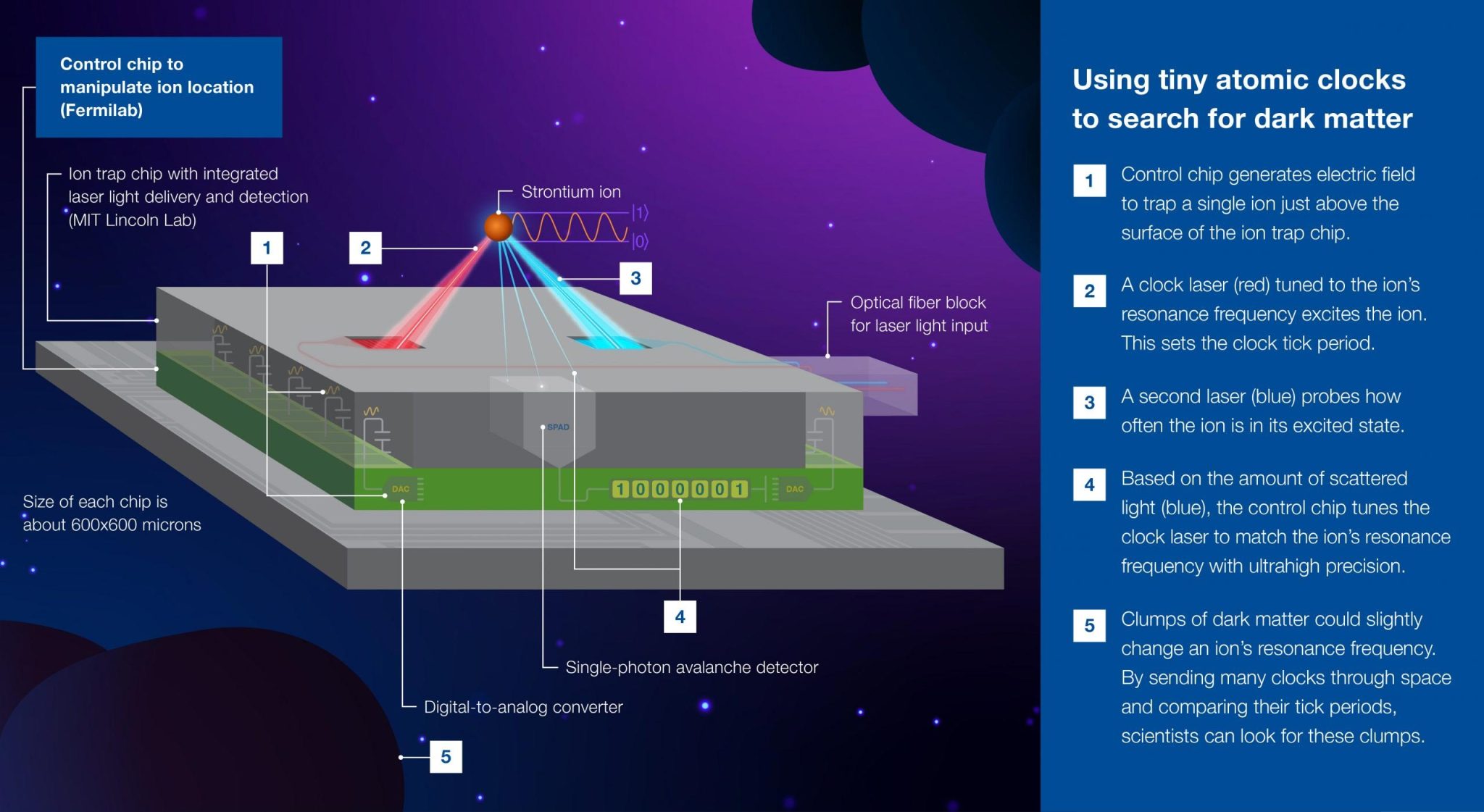 Miniaturized Atomic Clocks Accelerating the Search for Dark Matter