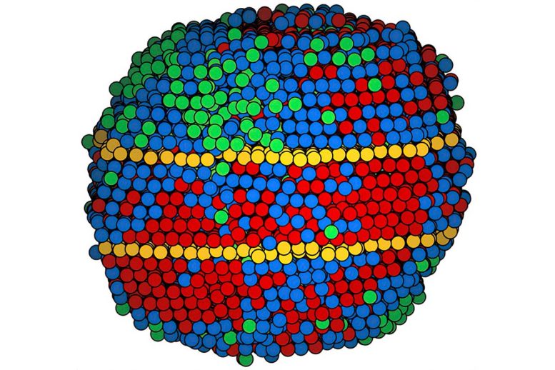 Atomic Map of a High-Entropy Alloy Nanoparticle