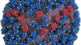 Atomic Resolution Image of H1N1 Influenza Virus
