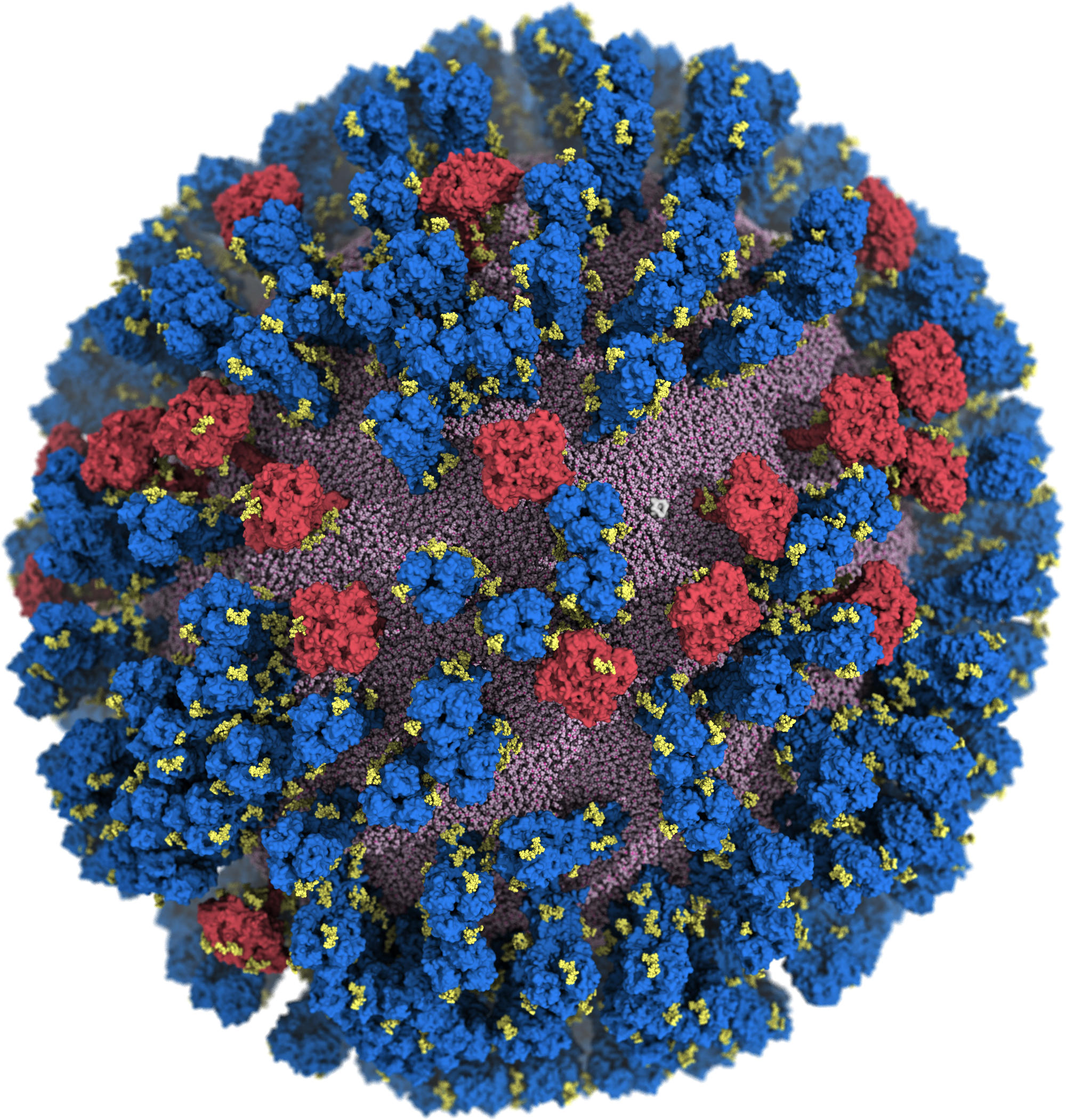 Atomic Resolution Image of H1N1 Influenza Virus