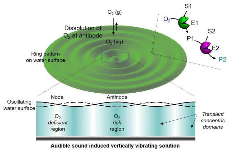 Audible Sound-Induced Generation of Transient Domains