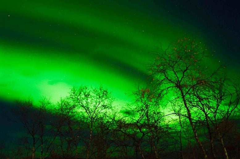 41.000 tahun yang lalu, sesuatu yang aneh di luar angkasa mengubah cara manusia hidup di bumi 1 Auroras di langit di atas Eropa