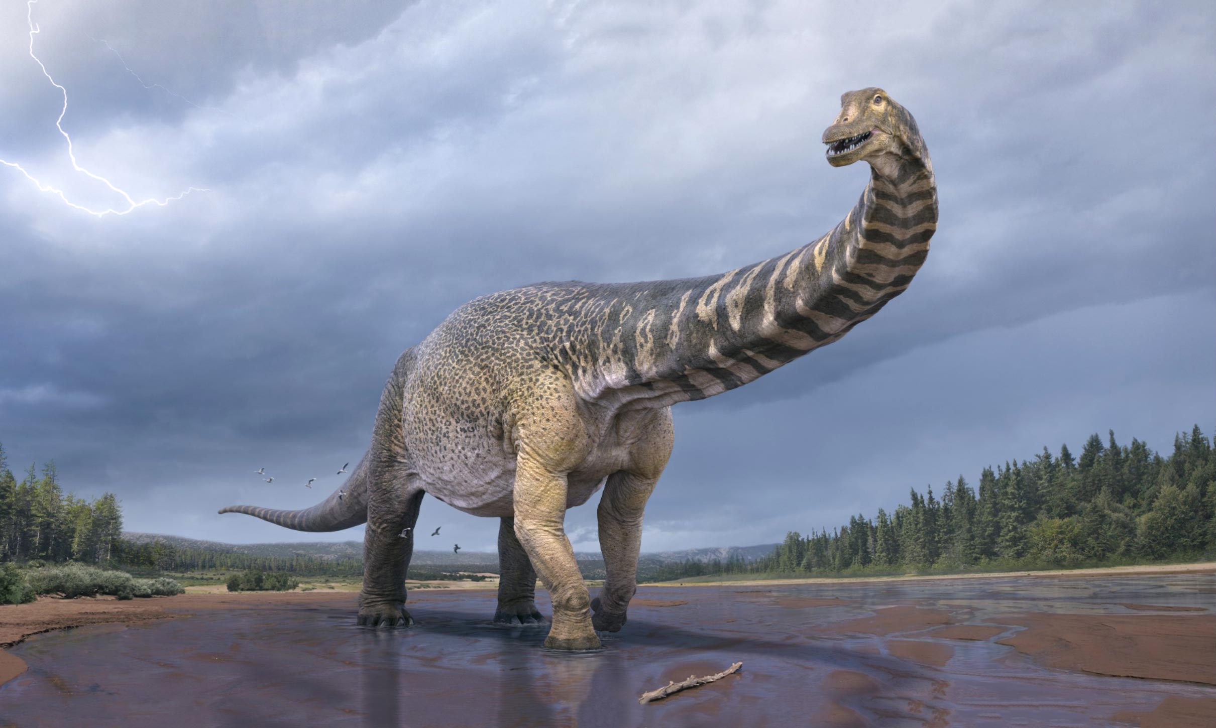 The Vertical World of Dinosaurs: A Gallery of the Tallest Species