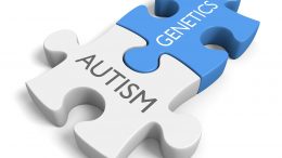 Autism Genetic Link