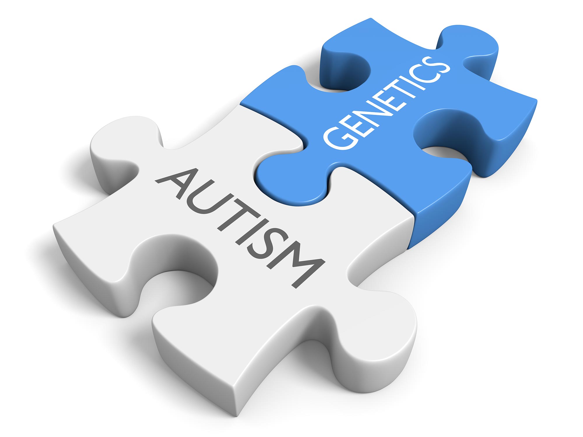 Autism Genetic Link 