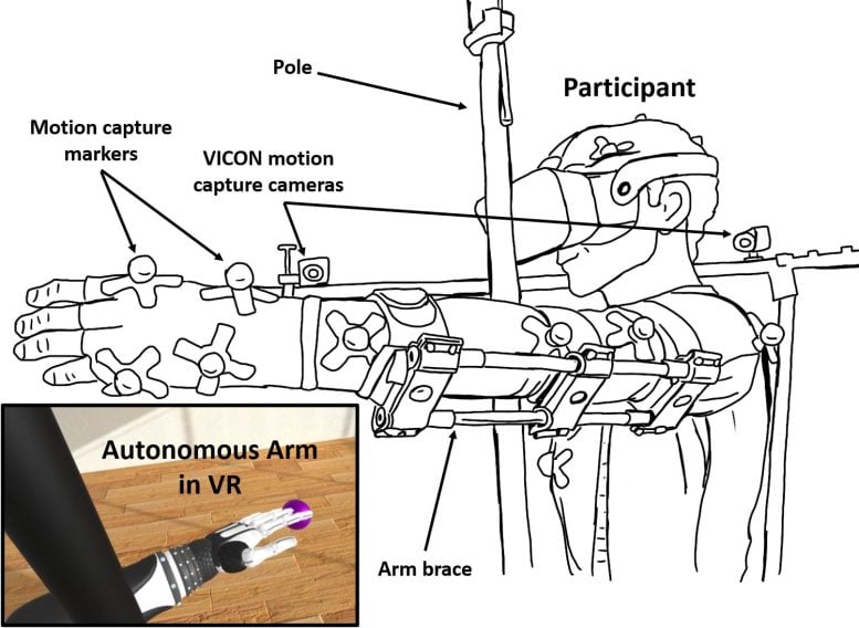 Autonomous Prosthetic Arm Experimental Setup