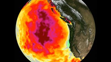 Average Sea Surface Temperature May 2015
