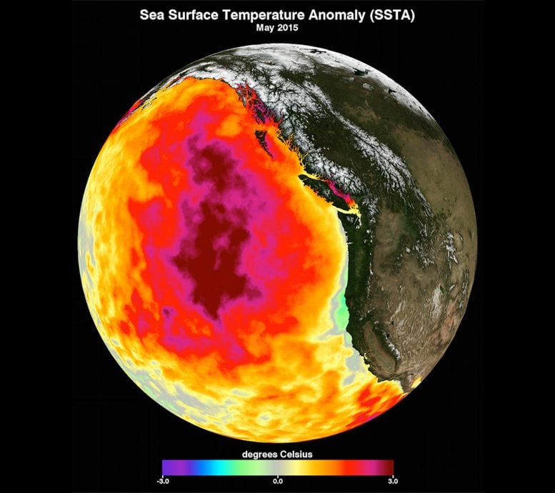 Average Sea Surface Temperature May 2015