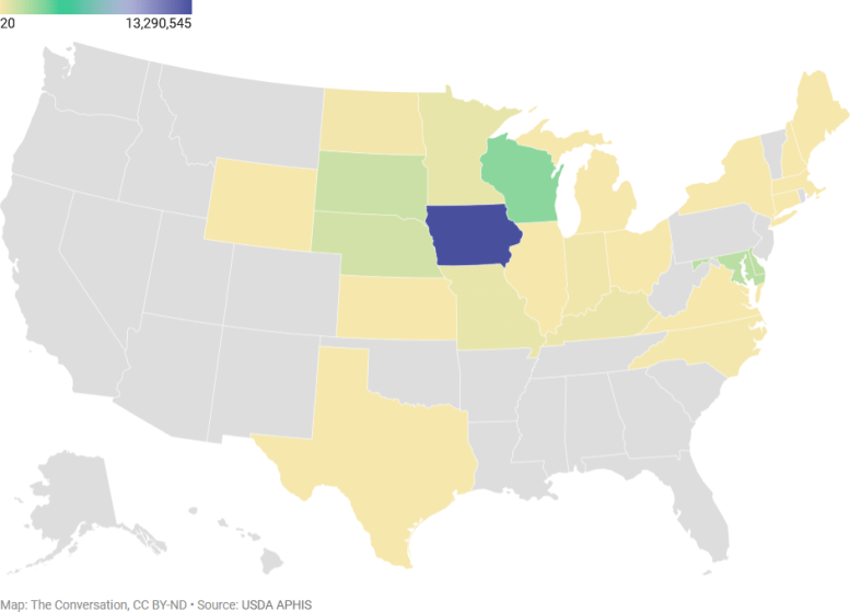 Avian Influenza US Map